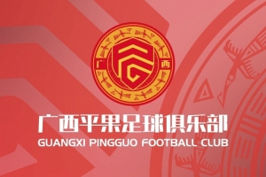 广西平果足球俱乐部致谢每一份关爱与祝福!
