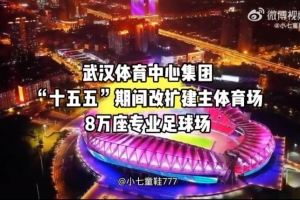 博主:武汉体育中心将改建成8万座专业球场