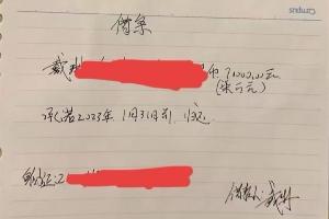 媒体人:向戴琳索要欠款的泰山球迷需要肝移植 频繁讨债收效甚微