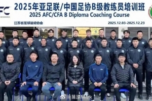 苗原:杨博宇参加教练员培训班,他被怀疑会上第二批禁足名单