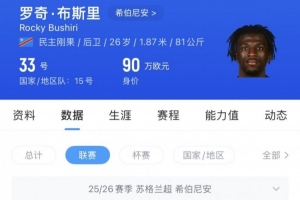 苗原:泰山外援中卫目前多选一,略倾向于苏超球星布斯里