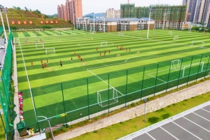 足球报介绍“462杯”场地:定南县拥有12块十一人制足球场