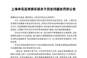 丰臻谈申花公告:不太喜欢把股东身份凌驾于俱乐部之上的切割姿态