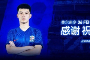 中乙金靴!德转显示费尔南多约100万元从申花转会云南玉昆